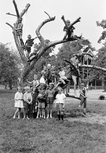 129002 Afbeelding van een groep kinderen bij een dode boom. N.B. De foto is gemaakt in het kader van door de Stichting ...